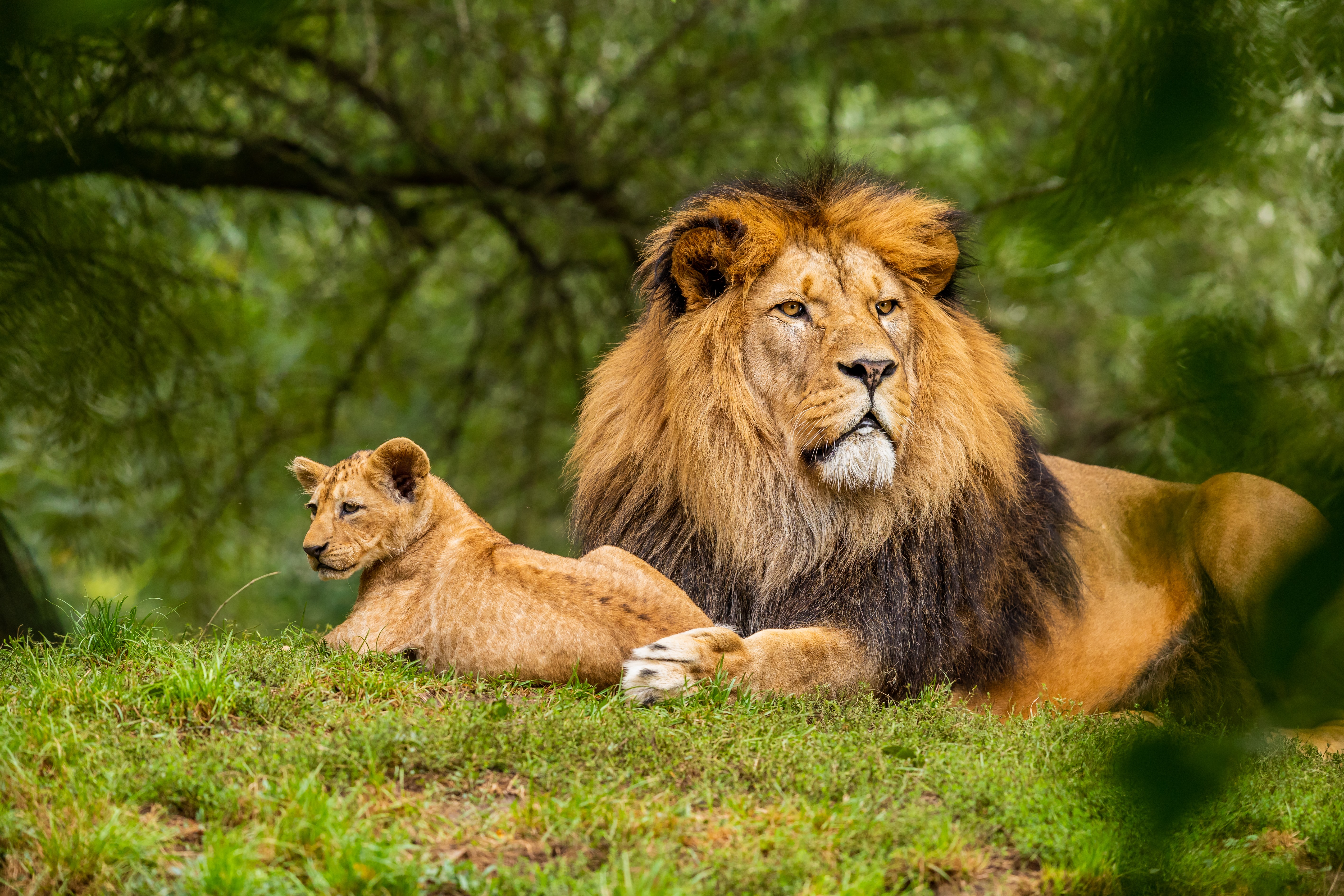 5 Must Visit Wildlife Sanctuaries In India Wego Travel Blog